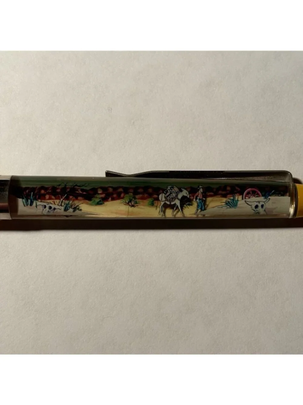 Death Valley California Floaty Pen Frontier Man Pack Horse Mule Moves in Desert